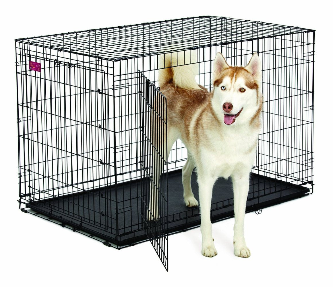 cage pour chien
