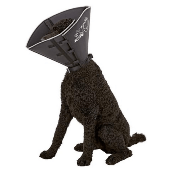 Comfy Cone Comfortable and Soft Collar, Alternative after