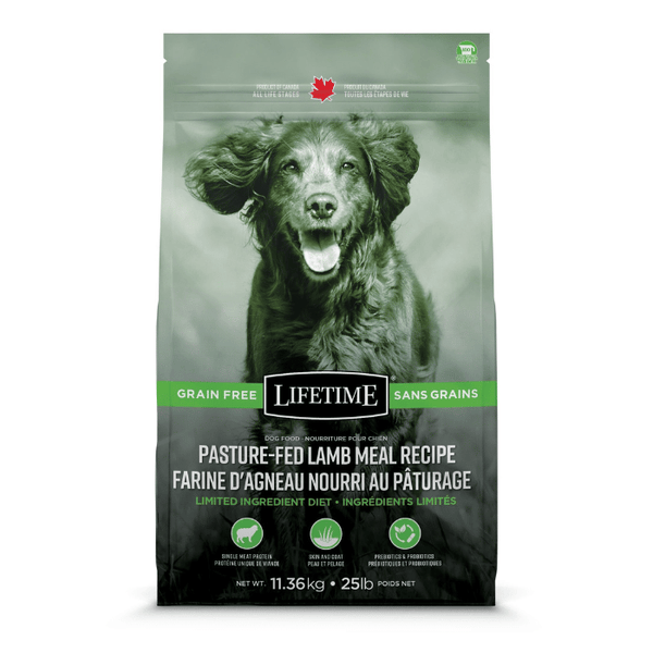 Lifetime online dog food