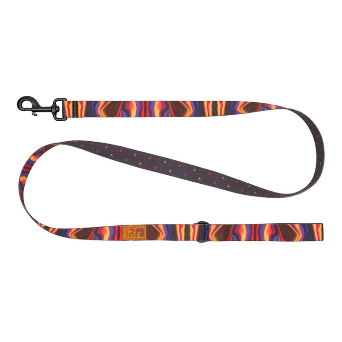 Rc Pets Laisse Laisse écologique pour chiens Rc Aura cosmique Laisse écologique pour chiens Rc Aura cosmique