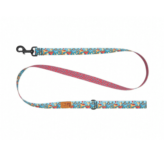 Rc Pets Laisse Laisse écologique pour chiens RC Pets Funky Fungi Laisse écologique pour chiens RC Pets Funky Fungi