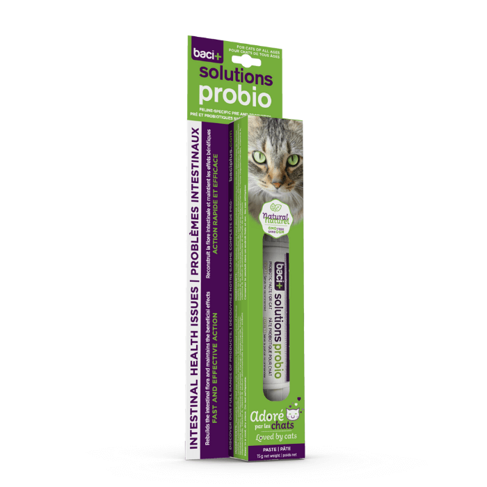 Baci+ supplement Solution Probio - probleme intestinaux pour chats