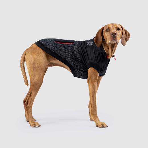 Canada Pooch manteau Manteau pour chien - Reflective Hybrid Jacket