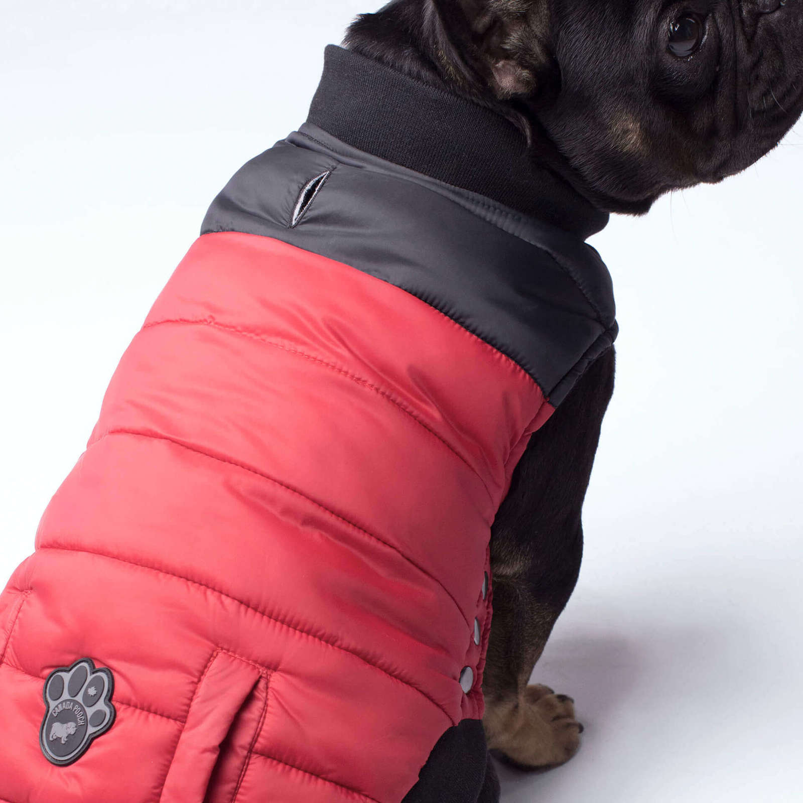 Canada Pooch manteau Veste pour chien Summit Stretch, Rouge
