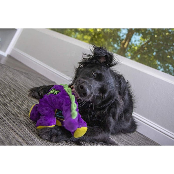 Brontosaure Bruto GoDog Ultra résistant Chew Guard Sherbrooke Canin