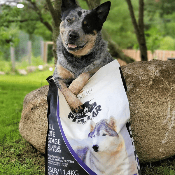 Horizon Pulsar Grain Free Pork Dog Food Sherbrooke Canin