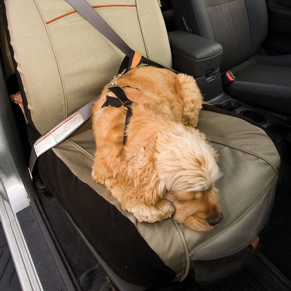 Kurgo pet bucket seat cover Sherbrooke Canin