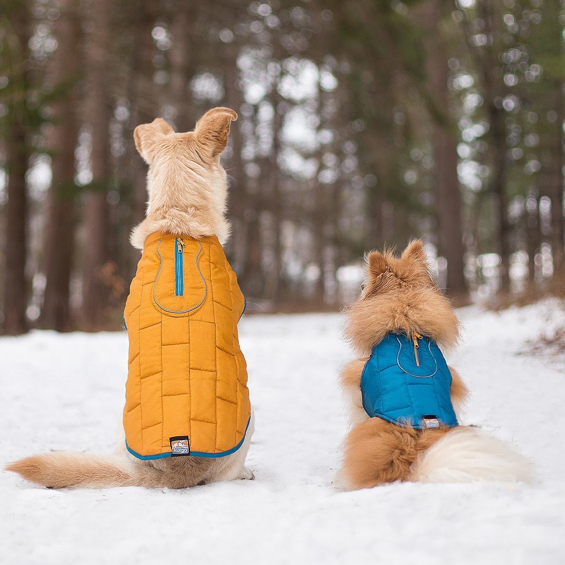 Kurgo manteau X-small / Bleu/Orange Manteau réversible pour chien Kurgo Loft - Plusieurs couleurs disponibles