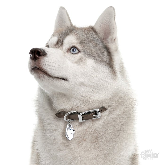 MyFamily medaille Médaille pour chiens - Friends Husky Sibérien