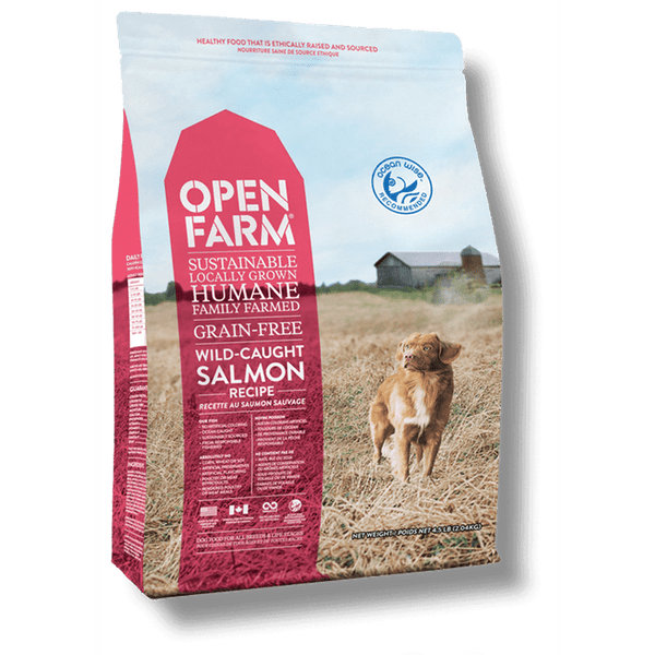 Open farm salmon dog best sale food