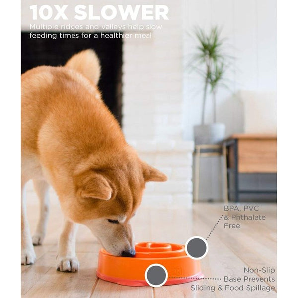 Kyjen Fun Feeders Orange Moderate Dog Bowl Sherbrooke Canin