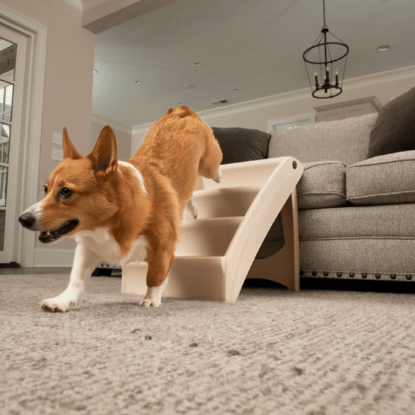 PetSafe Pup Step Plus Pet Stair Sherbrooke Canin