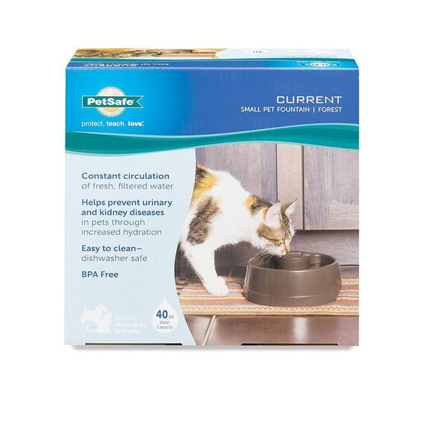 Drinkwell current hotsell pet fountain