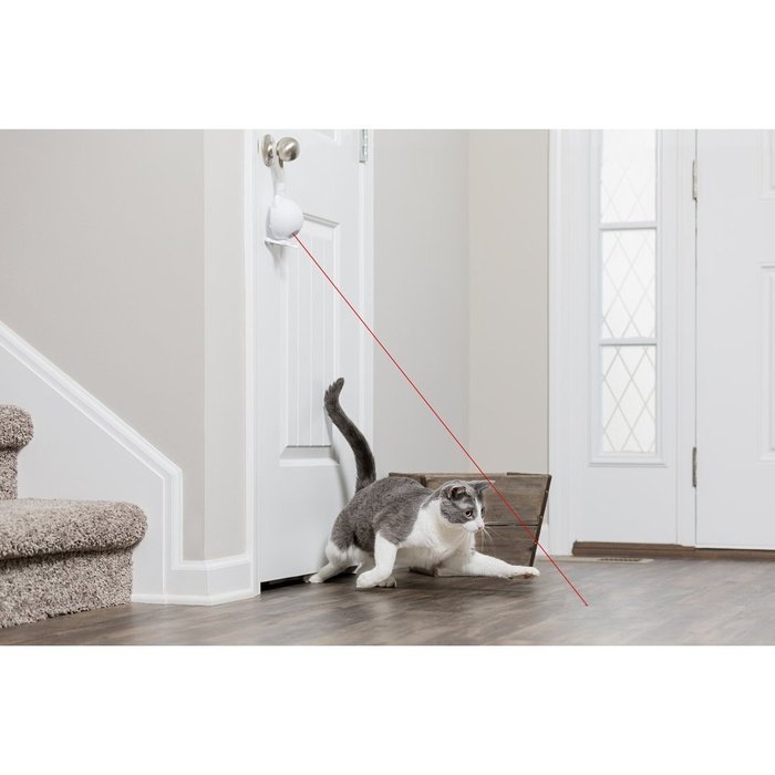 PetSafe jouet chat Jouet laser pour chats Dancing Dot