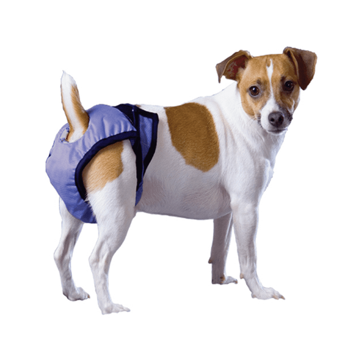 Pooch pad couche Couche réutilisable pour chiens