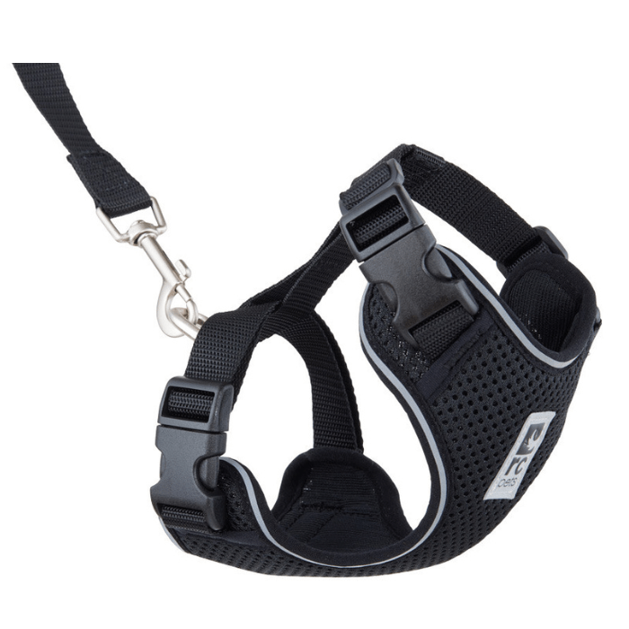 Rc Pets Medium Harnais pour chats RcPets Adventure Kitty