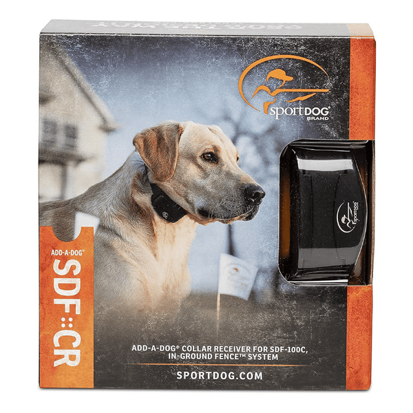 Sport dog online add a collar