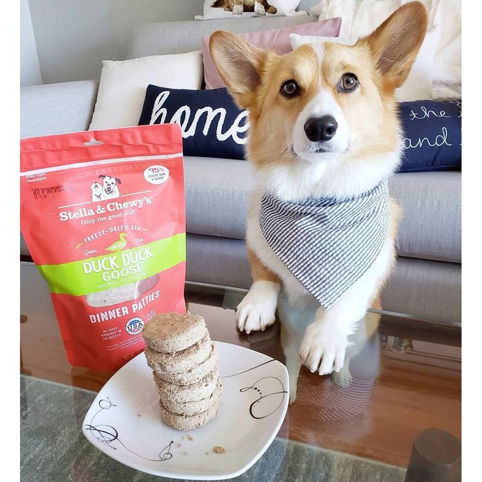 Stella & Chewy's nourriture Galettes de repas lyophilisées Dinner Patties Stella & Chewy`s Canard
