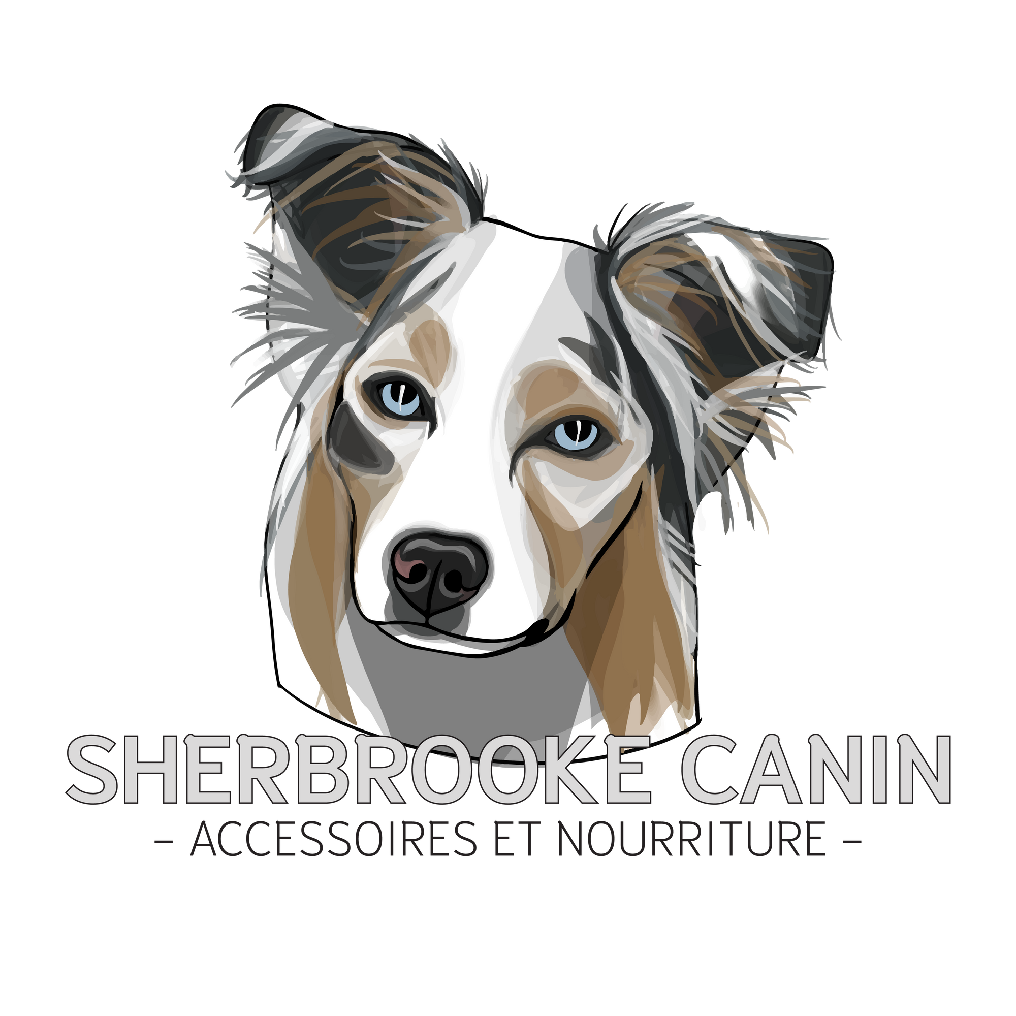Du changement - Sherbrooke Canin