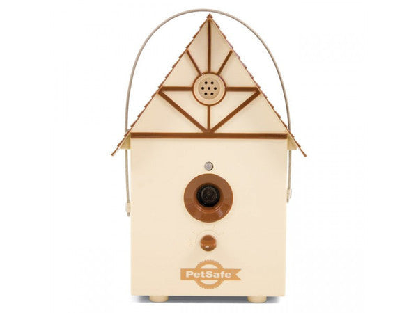 Le chien de votre voisin jappe? Quoi faire?