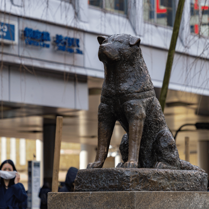 Les Chiens Célèbres : Histoires Épiques d'Héroïsme, de Fidélité et de Bravoure Canine