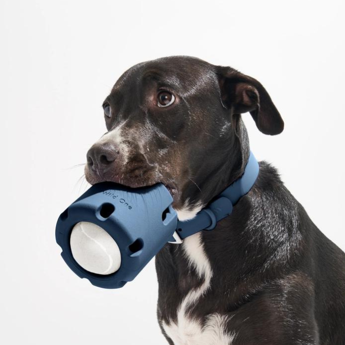 L'Importance des Jouets Interactifs pour Chiens : Plus qu'une Simple Distraction