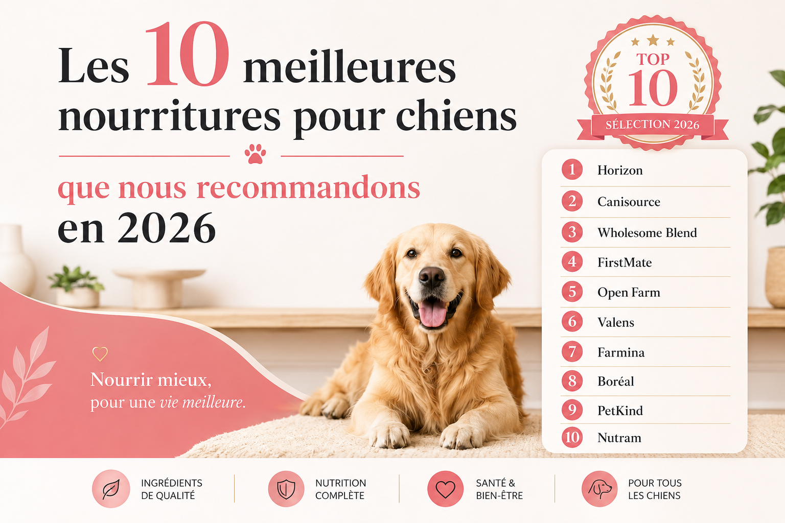 Les 10 meilleures nourritures pour chiens que nous recommandons en 2026