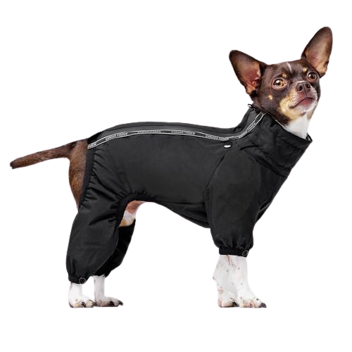 Manteaux et bottes pour chiens