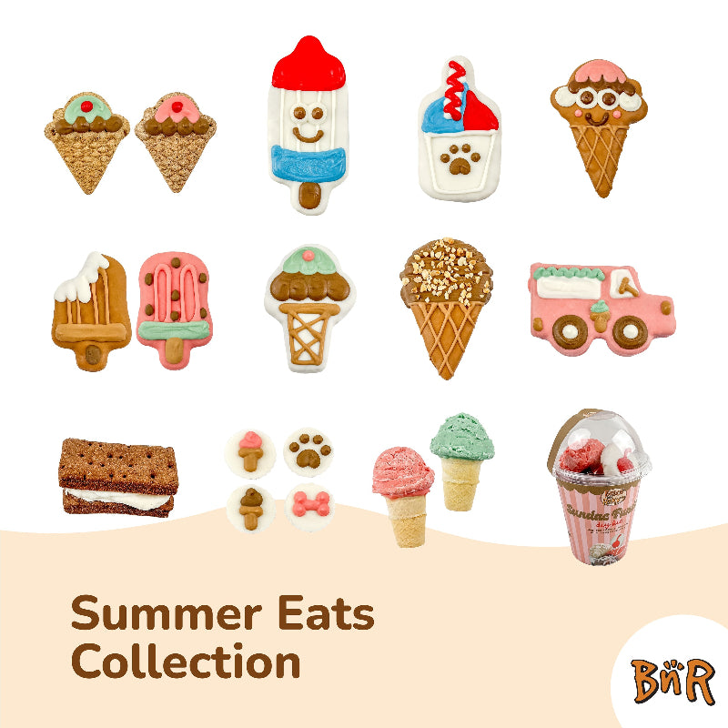 Biscuit pour chiens - Sundae Fundae DIY Kit - collection Bouffes d'été