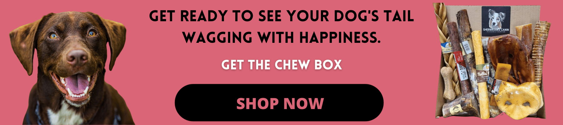 DOG CHEW BOX
