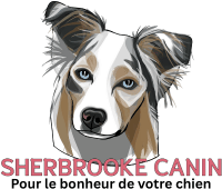 Sherbrooke Canine Pet Boutique Logo