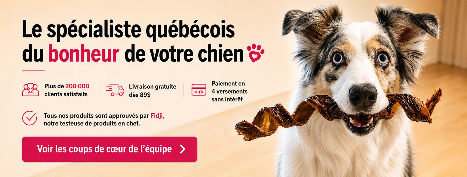 Coup de coeur de l'equipe