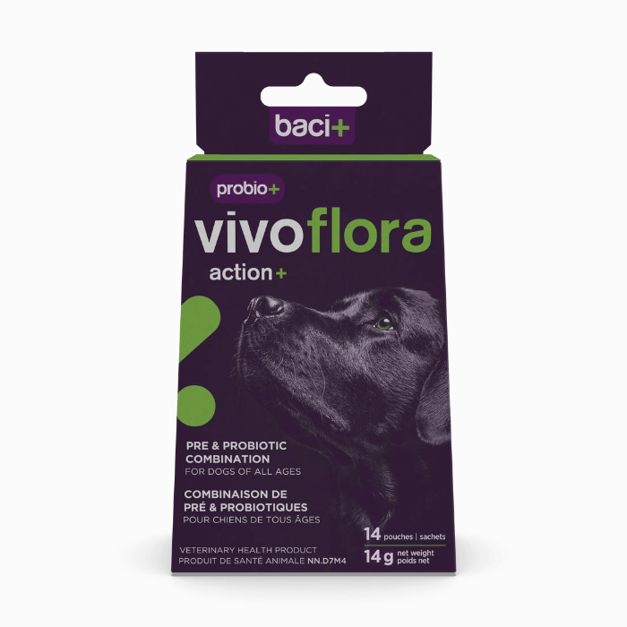 Baci+ supplement 14g probio+ vivoflora pré et probiotiques - santé intestinale pour chiens probio+ vivoflora pré et probiotiques - santé intestinale pour chiens