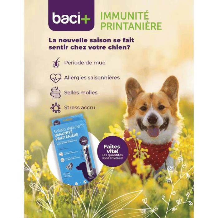 Baci+ supplement Trousse Immunité Printanière pour Chiens