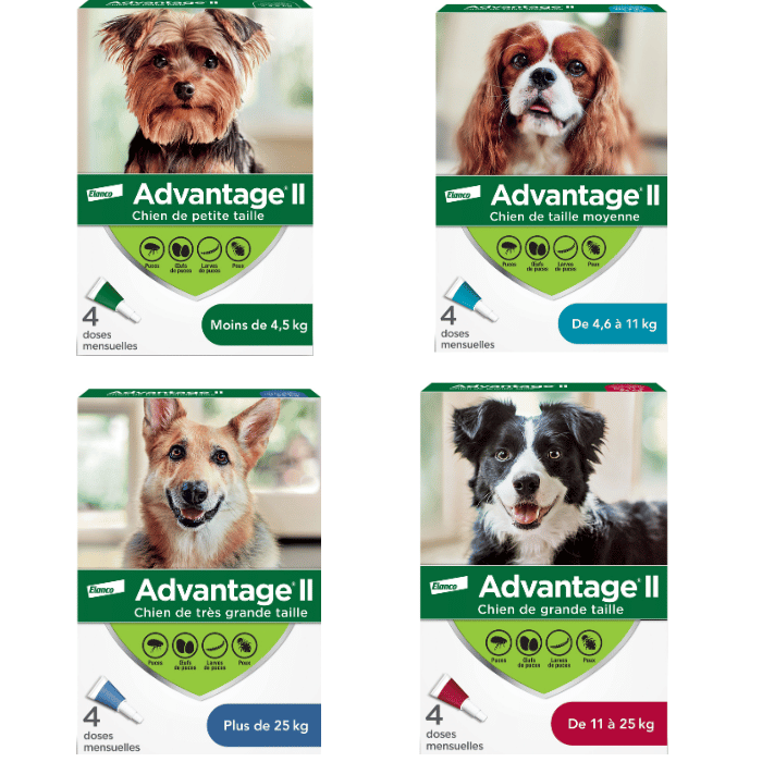 Bayer k9 advantix Advantage II protection contre les puces et poux pour chiens 4 doses