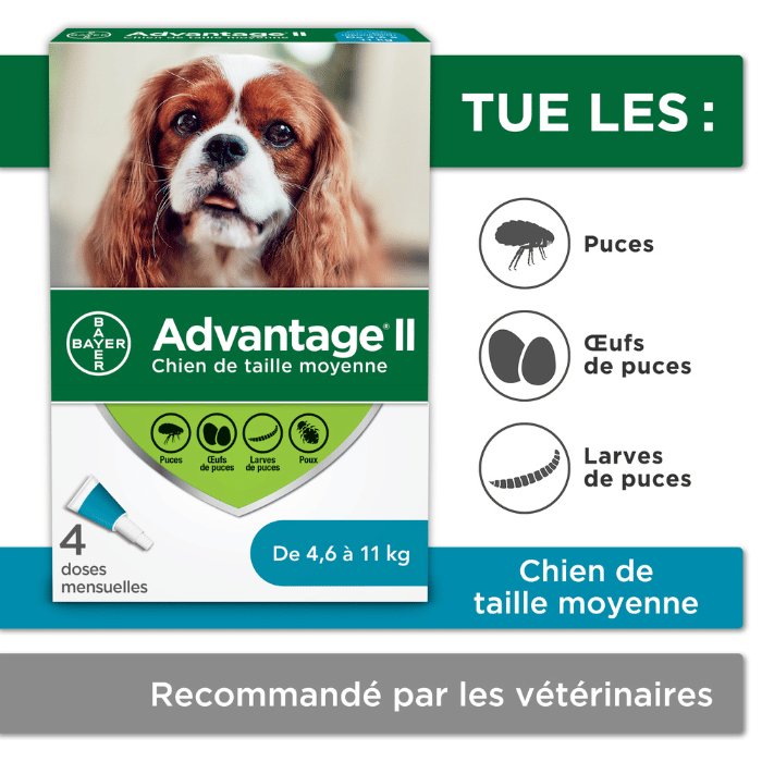Bayer k9 advantix 4.6-11kg Advantage II protection contre les puces et poux pour chiens 4 doses