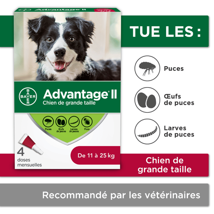 Bayer k9 advantix 11-25kg Advantage II protection contre les puces et poux pour chiens 4 doses