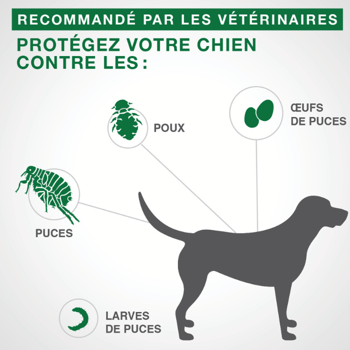 Bayer k9 advantix Advantage II protection contre les puces et poux pour chiens 4 doses