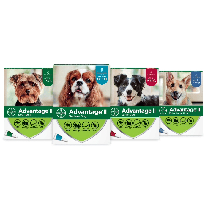 Bayer k9 advantix Advantage II protection contre les puces et poux pour chiens Paq de 6