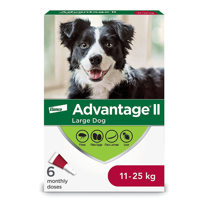 Bayer k9 advantix Advantage II protection contre les puces et poux pour chiens Paq de 6