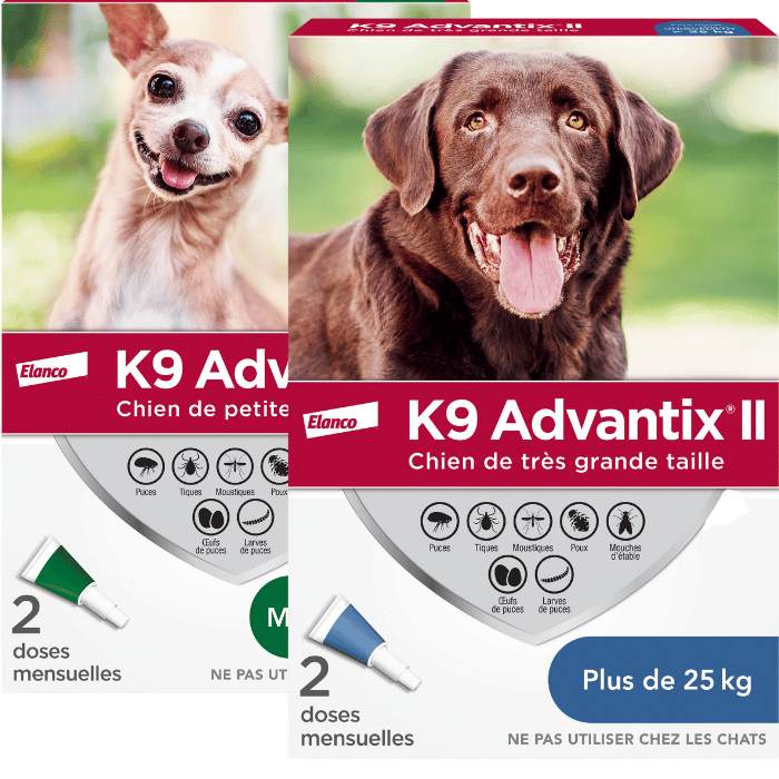 Bayer k9 advantix K9 advantix II protection contre les puces et les tiques - 2 doses