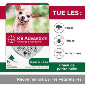 Advantix 2024 6 pack