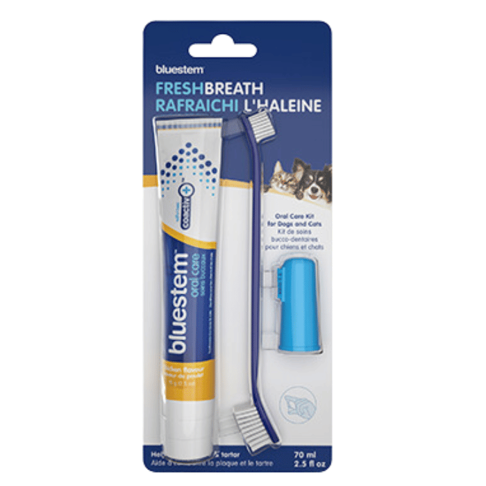 Bluestem soins buccaux Brosse à dent pour chien et chat, Saveur de Poulet