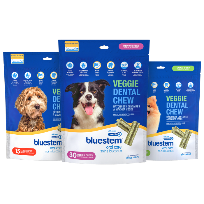 Bluestem soins buccaux Soins Buccaux Dentaire Pour Chien, bâtonnets à mâcher Bluestem Soins Buccaux Dentaire Pour Chien, bâtonnets à mâcher Bluestem
