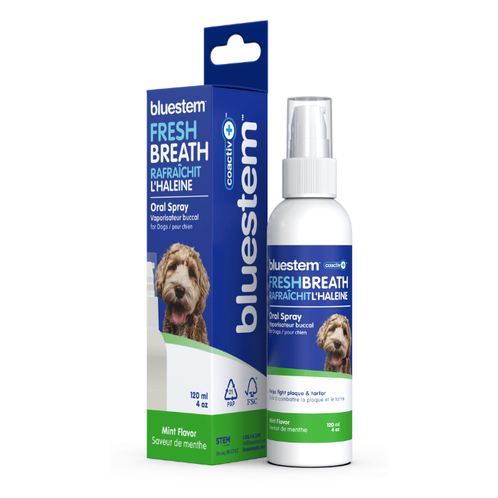 Bluestem soins buccaux Spray buccal bluestem pour chiens avec coactiv+ saveur vanille menthe 60 ml Spray buccal bluestem pour chiens avec coactiv+ saveur vanille menthe 60 ml