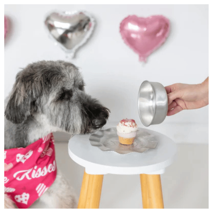Bosco and Roxy's biscuit Biscuit pour chiens - Pup-cake « Coup de cœur » | Saint-Valentin Biscuit pour chiens - Pup-cake « Coup de cœur » | Saint-Valentin