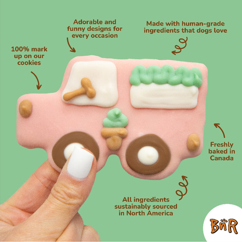 Bosco and Roxy's biscuit Biscuit pour chiens - Sundae Fundae DIY Kit | Bouffes d'été Biscuit pour chiens - Sundae Fundae DIY Kit