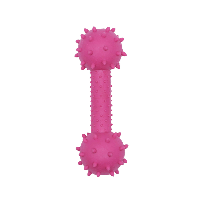 Bud'z jouets pour chien Jouet En Caoutchouc Pour Chien, Haltère Piquant, Rose 5.5"