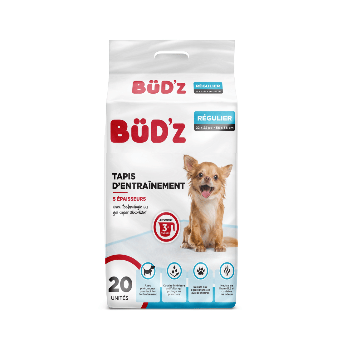 Bud&#39;z tapis Paq de 20 Tapis d&#39;entrainement pour chien Bud&#39;z 22 x 22&#39;&#39;