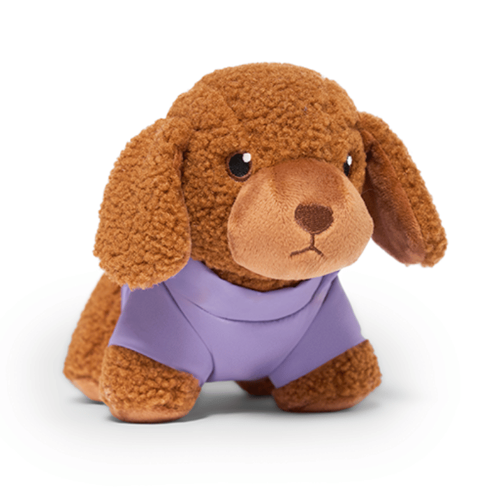 Canada Pooch peluche Peluche - Bailey the doodle Peluche - Bailey the doodle